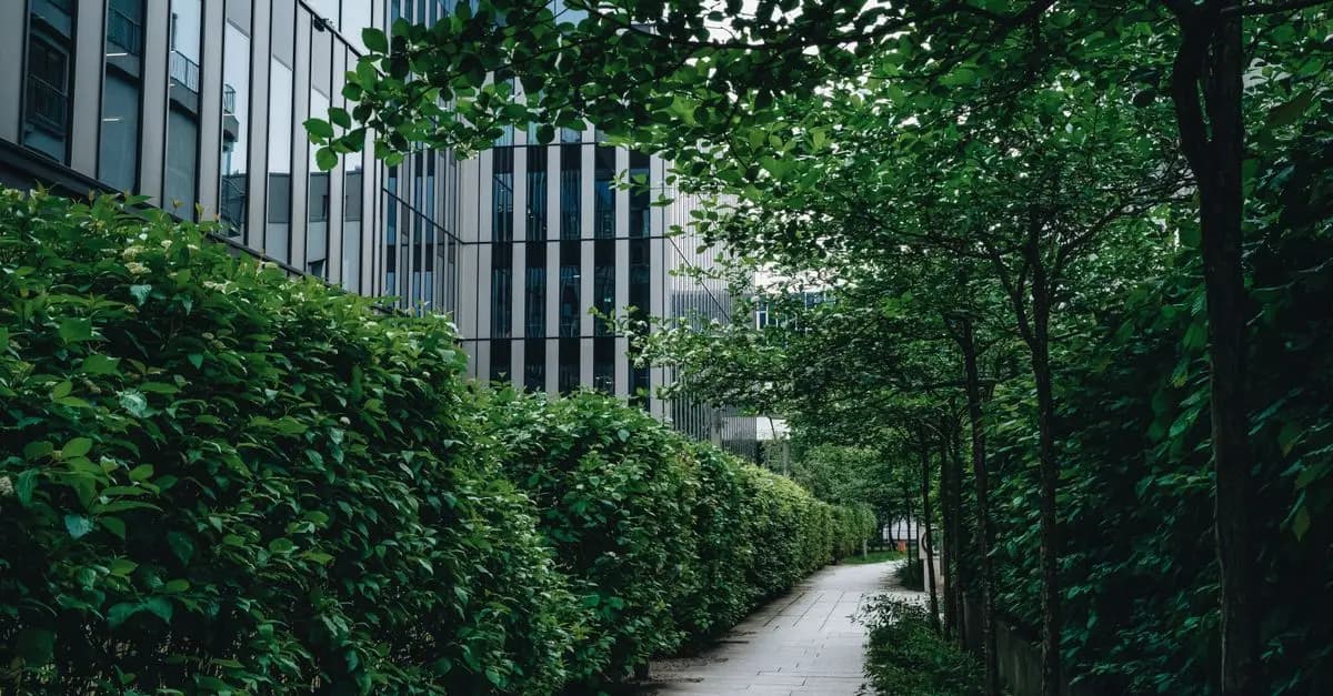 Les solutions pour une plomberie écoresponsable à Paris