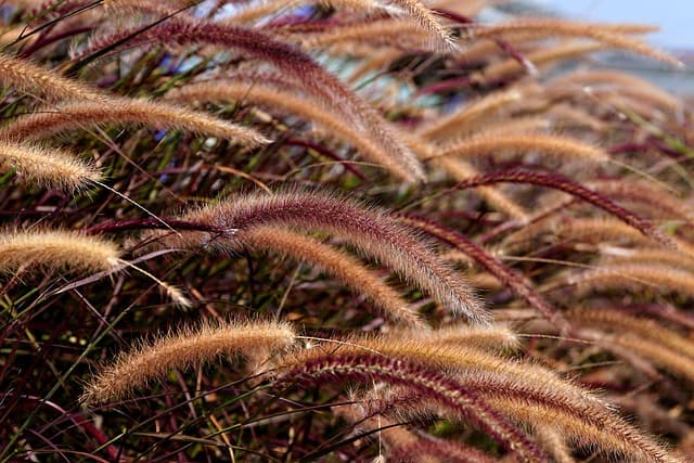 Les avantages de choisir des matériaux écologiques en plomberie