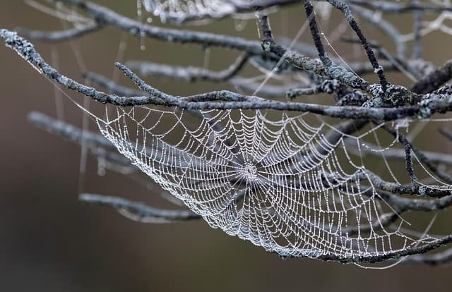Les erreurs fréquentes en plomberie à Paris et comment les éviter